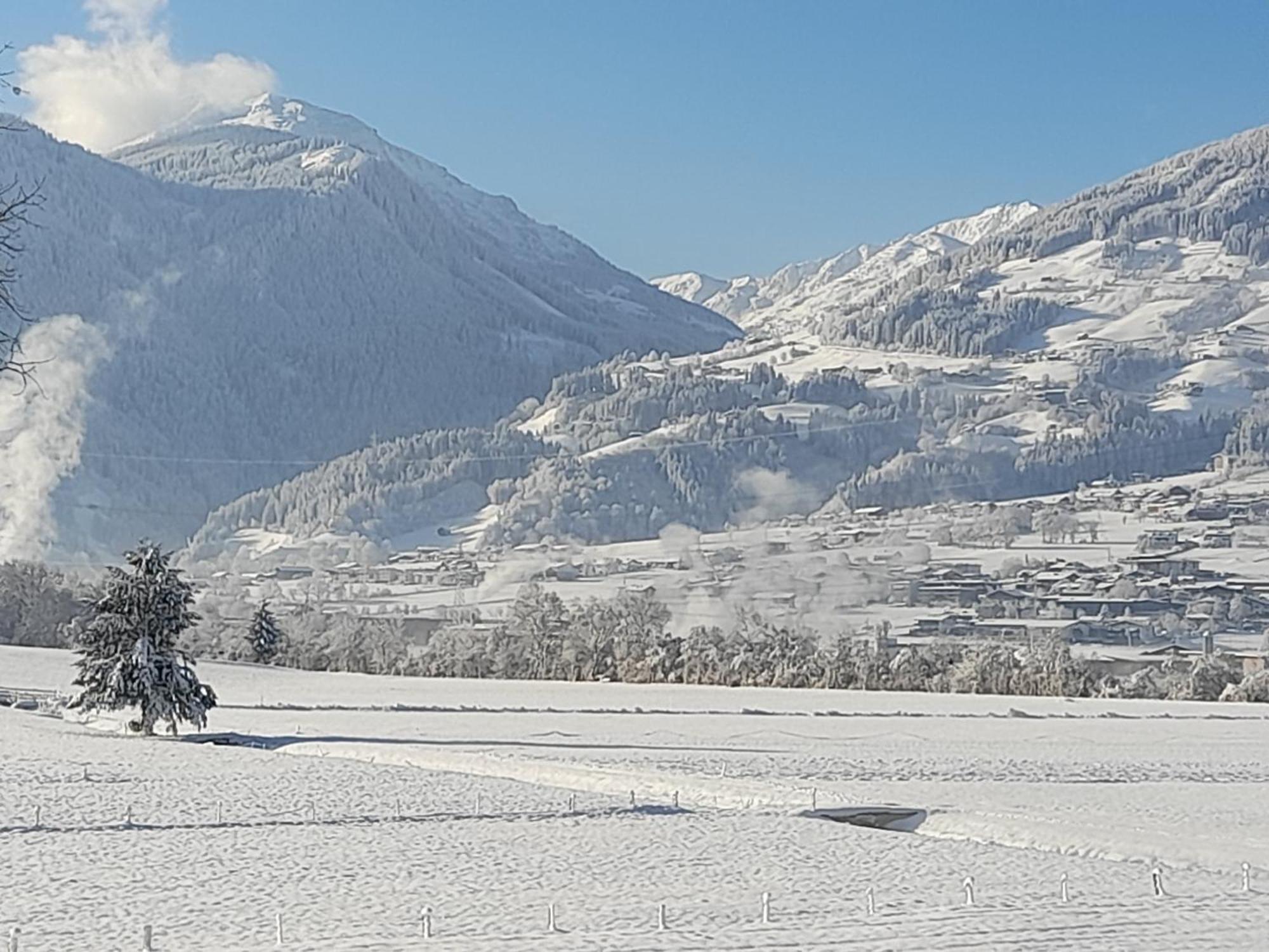 Ferienwohnung Rose Hart im Zillertal Ngoại thất bức ảnh